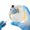 Reusable Inoculating Loops – Surgical Design Color‑Coded Handles-5